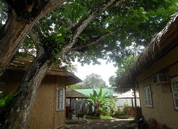 Tia Mer's Guest House