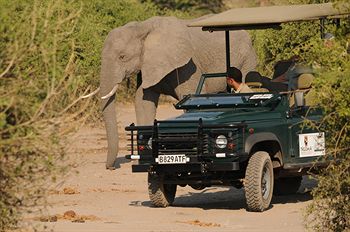 Ngoma Safari Lodge