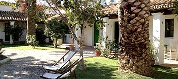 Cortijo Las PiÃ±as